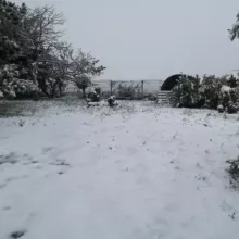 hiver antre des vices