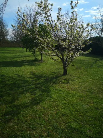 Printemps à l'Antre Des Vices, gites BDSM et donjons BDSM proche de Valence en Rhône-Alpes